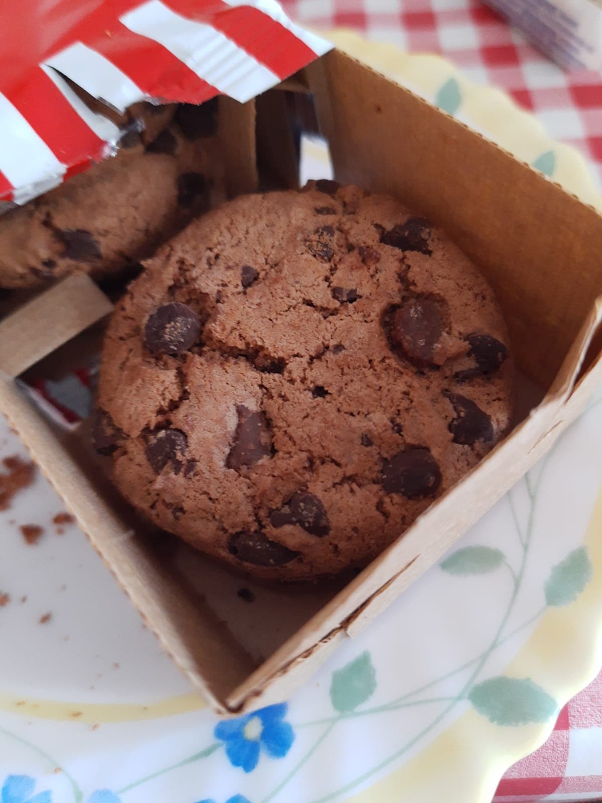 Product Review: Sustainability vs Usability or Both?